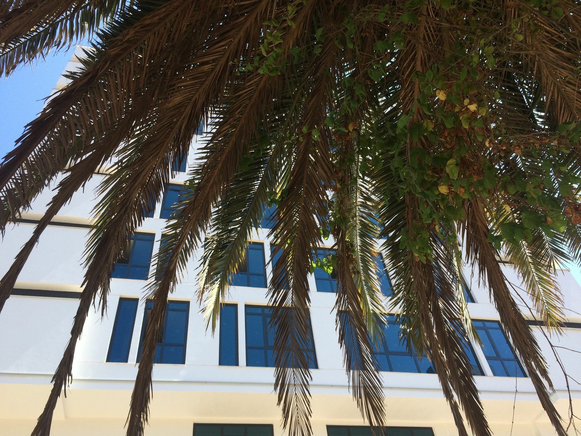 Aselia Hotel Трабзон Екстериор снимка